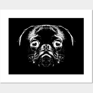 Pug / Face / Head Posters and Art